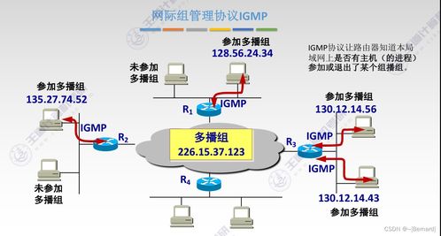 计算机网络设备安装与维护知识点汇总——参照王道考研第四章
