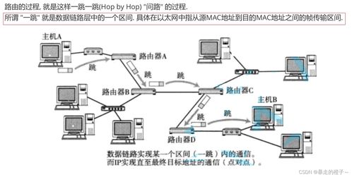 计算机网络基础 网络层核心原理与关键设备的安装维护指南